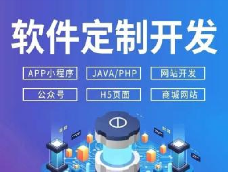 应用软件开发：推动数字化转型的核心力量